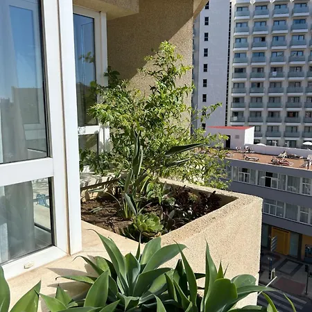 Oasis With Terrace And Sea Views With Rooftop Pool トレモリノス