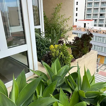 Oasis With Terrace And Sea Views With Rooftop Pool