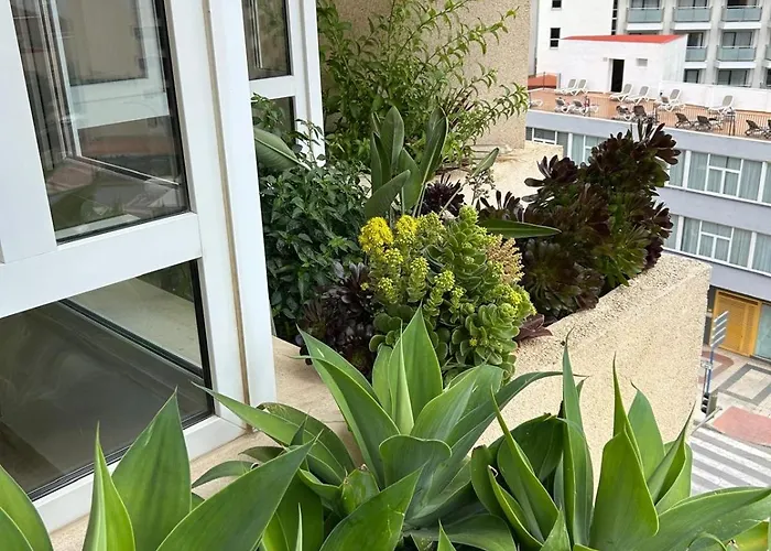 Oasis With Terrace And Sea Views With Rooftop Pool